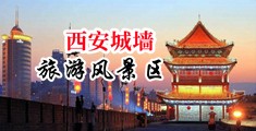 爆草短裙美女在线观看中国陕西-西安城墙旅游风景区
